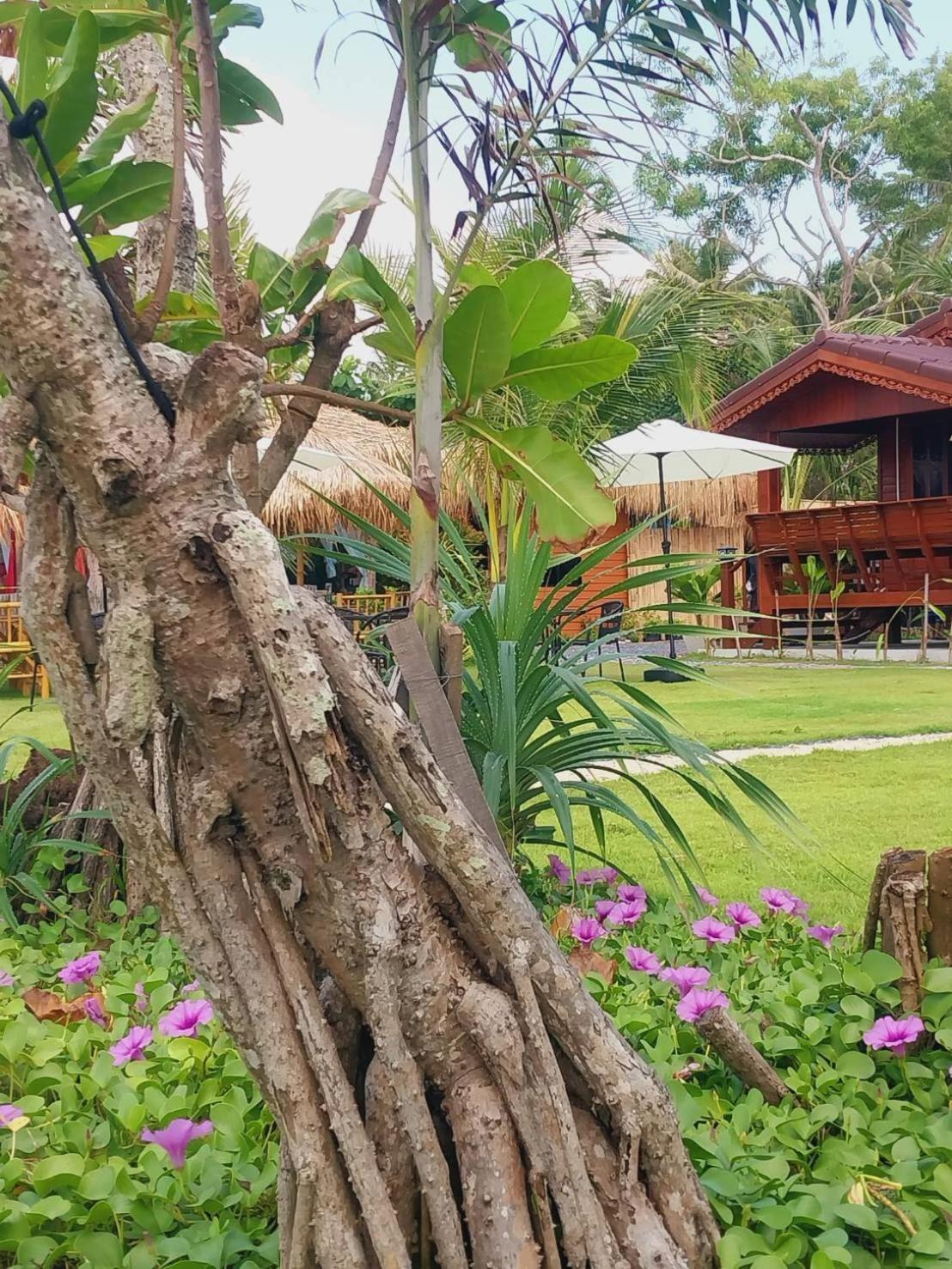 Walden Koh Lanta - Tiny Homes By The Sea Eksteriør billede