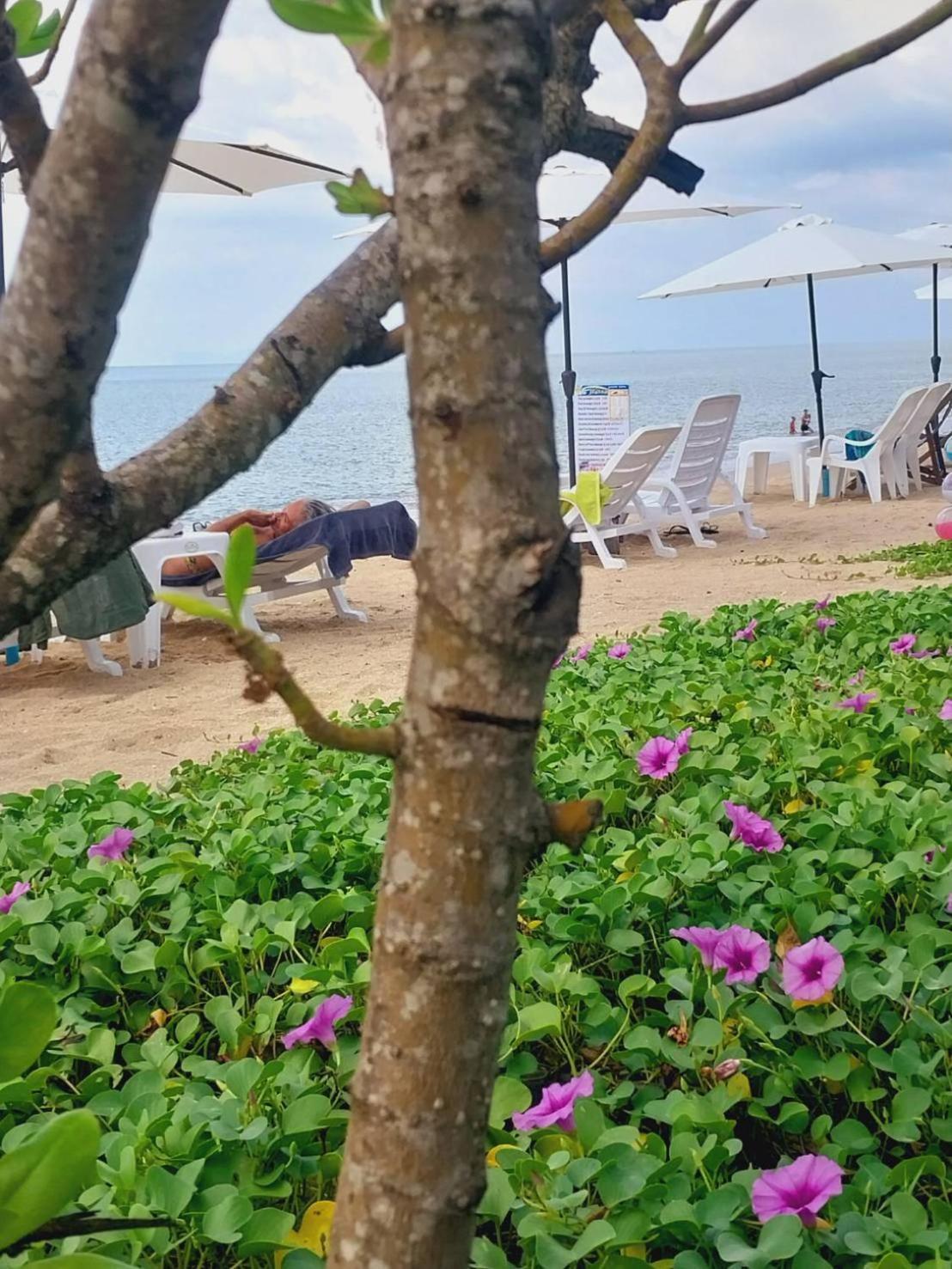 Walden Koh Lanta - Tiny Homes By The Sea Eksteriør billede